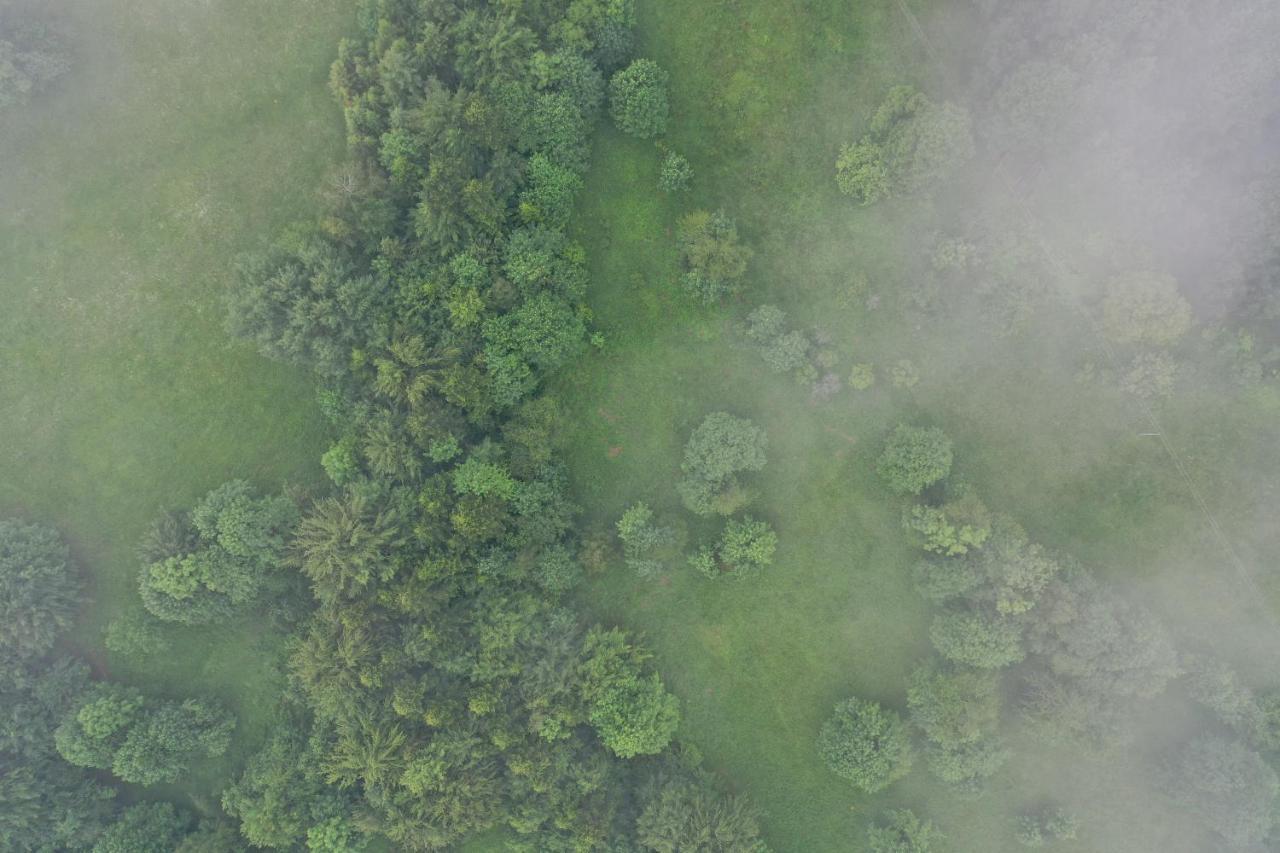 Mosorny Park Drewniane Komfortowe Domki Caloroczne Zawoja Exterior foto